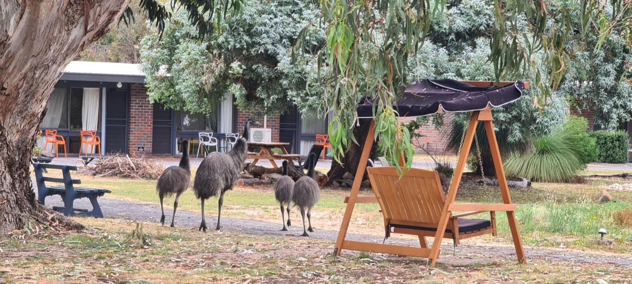 Halls Haven Holiday Units Halls Gap Exterior photo