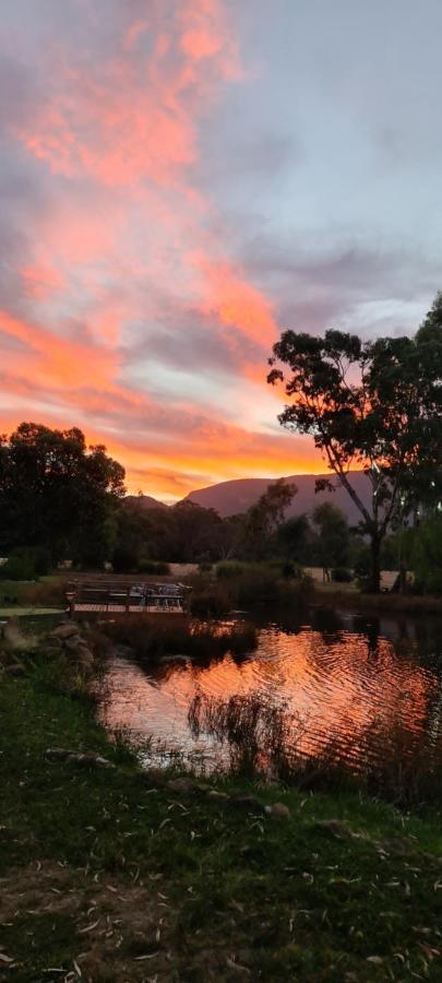 Halls Haven Holiday Units Halls Gap Exterior photo